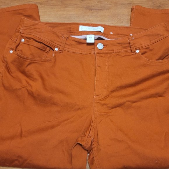 Classic PLUS   High Rise Rust Colored Bootcut Jeans Sized16W - Picture 4 of 13